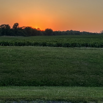 Here's to another great day at Mission Lake, Horton!