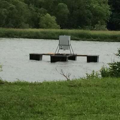Mission Lake Fish Feeder
