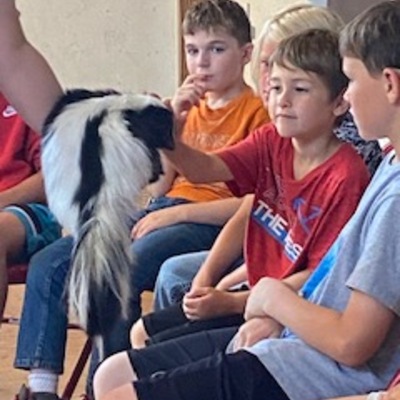 Kids pet and learn about a skunk