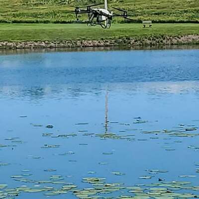 Drone Spraying Lilly Pads