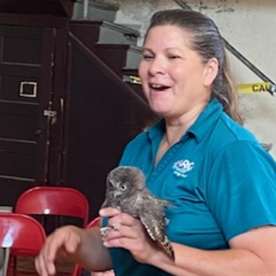 ARC Wild at Summer Reading Program 2024