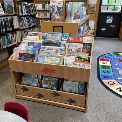 New bookshelf purchased with grant funds