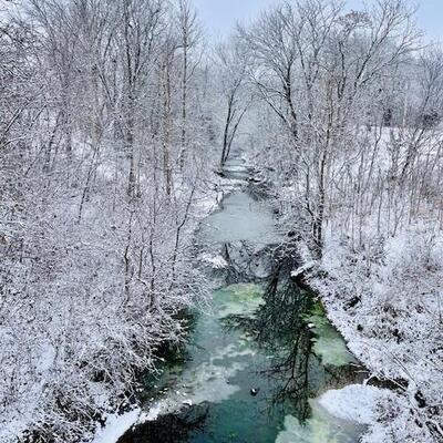 Winter Wonderland